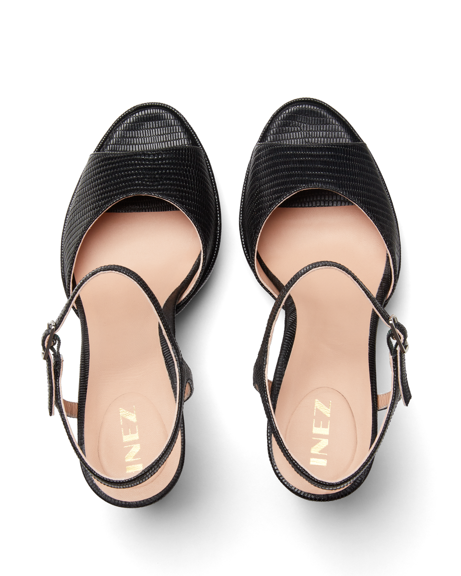 Camilla Black Lizard 10 Standard