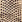 Almond Snake swatch